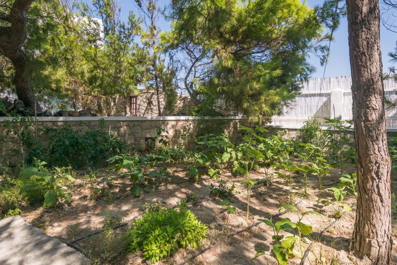 Thalassitra Village Hotel アダマス エクステリア 写真